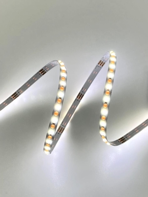 CAT Flexible Dot COB CCT LED Strip Dynamic White DC 24V